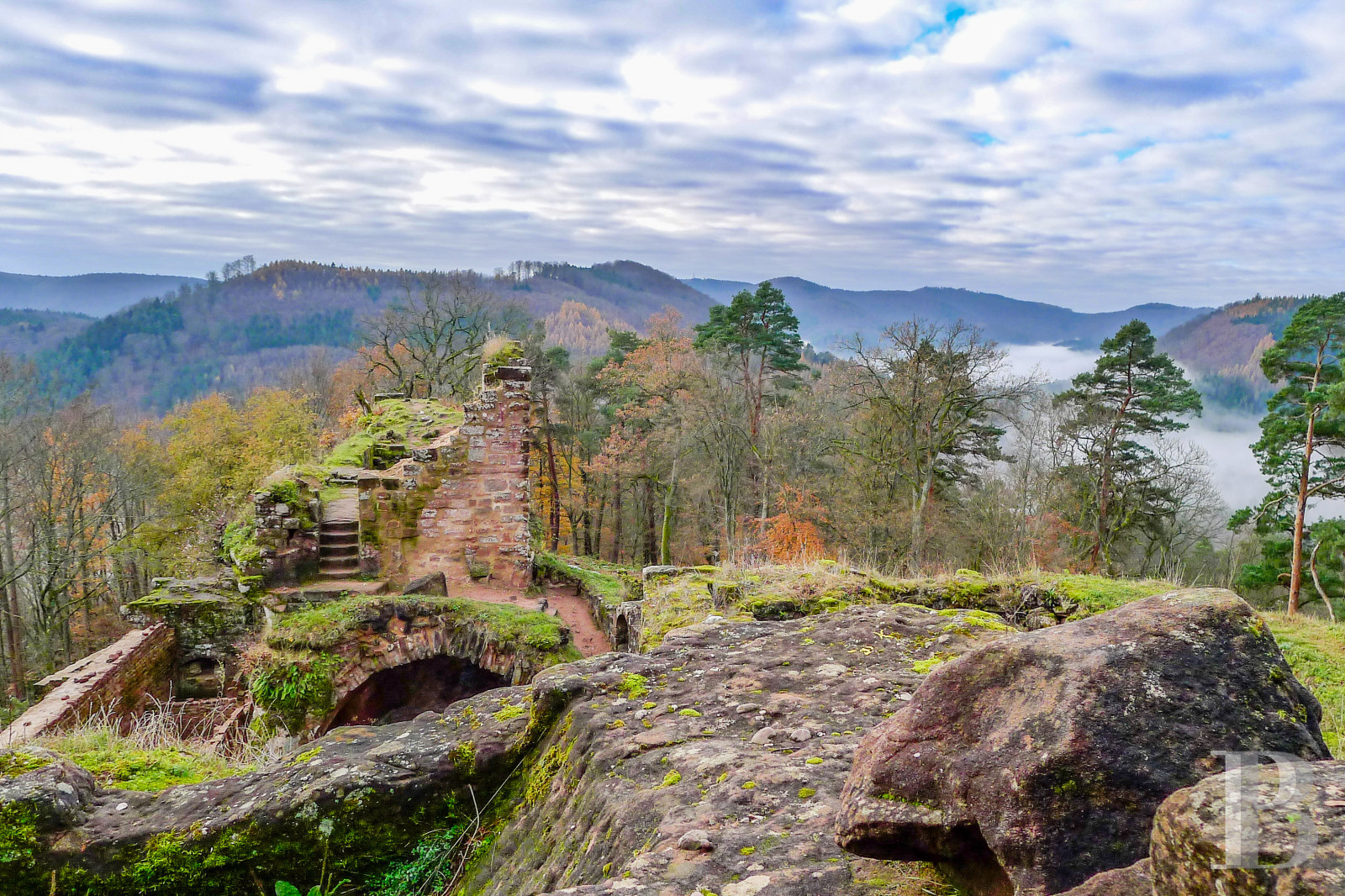 Dans les Vosges du Nord,  un ancien pavillon de chasse du 19e siècle transformé en confortable maison alsacienne traditionnelle - photo  n°18